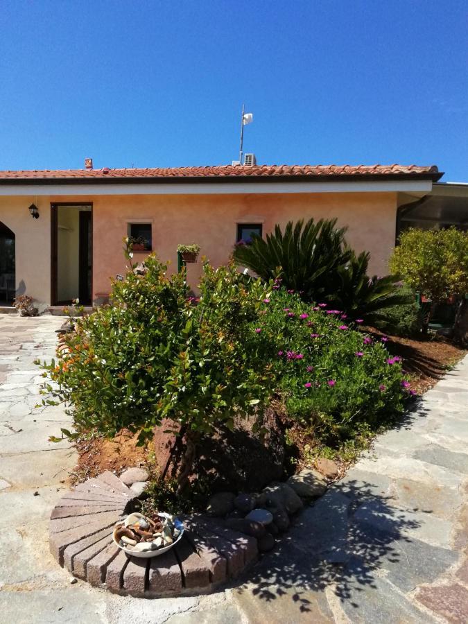 Da Patrizia Bed and Breakfast Alghero Exteriör bild
